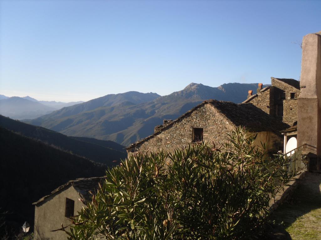 Chambre D'Hotes La Marlotte Castello-di-Rostino Kültér fotó